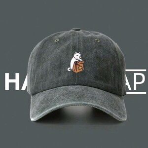 Cartoon hats; baseball caps; flat caps